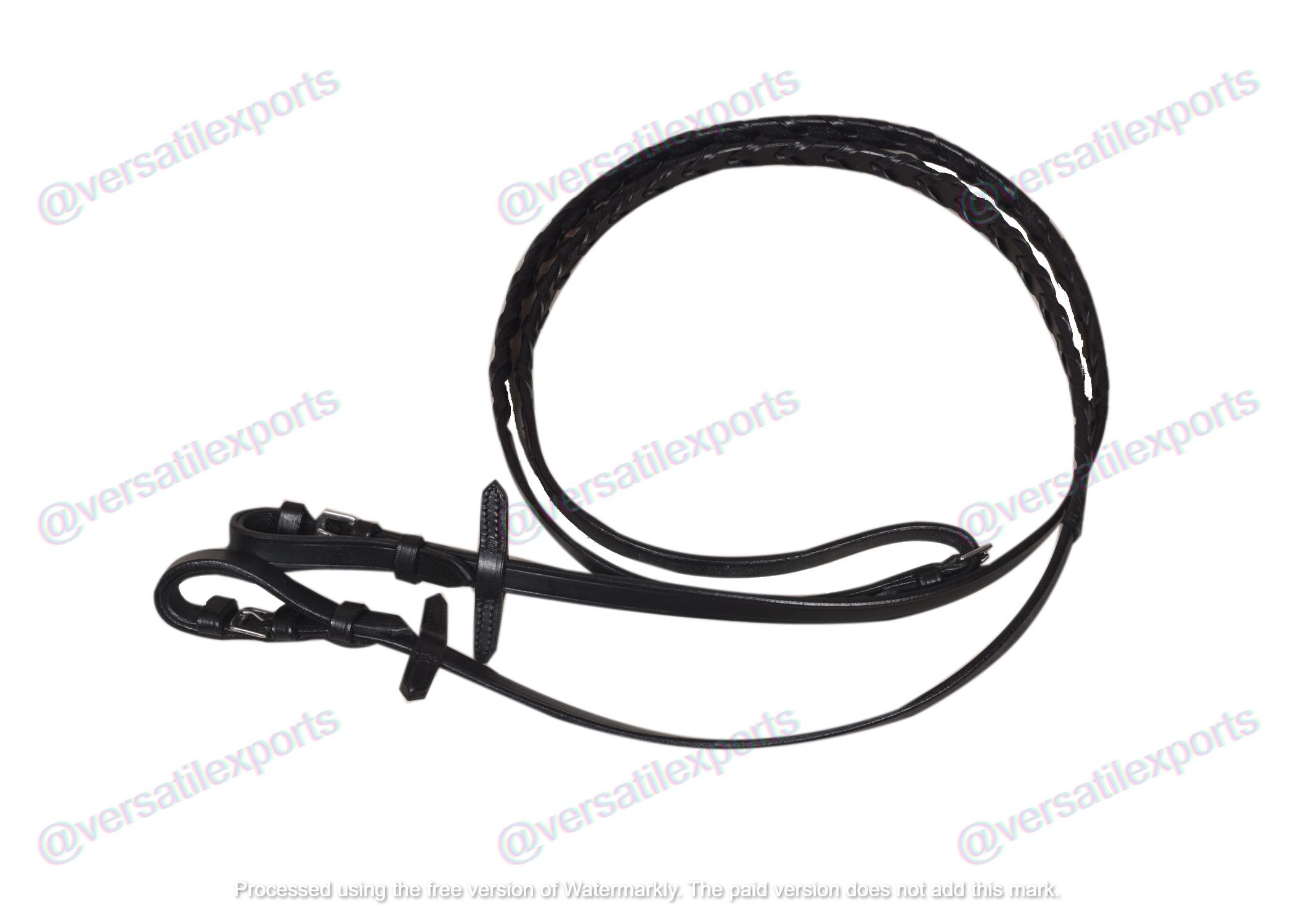 Bridle with Clinches